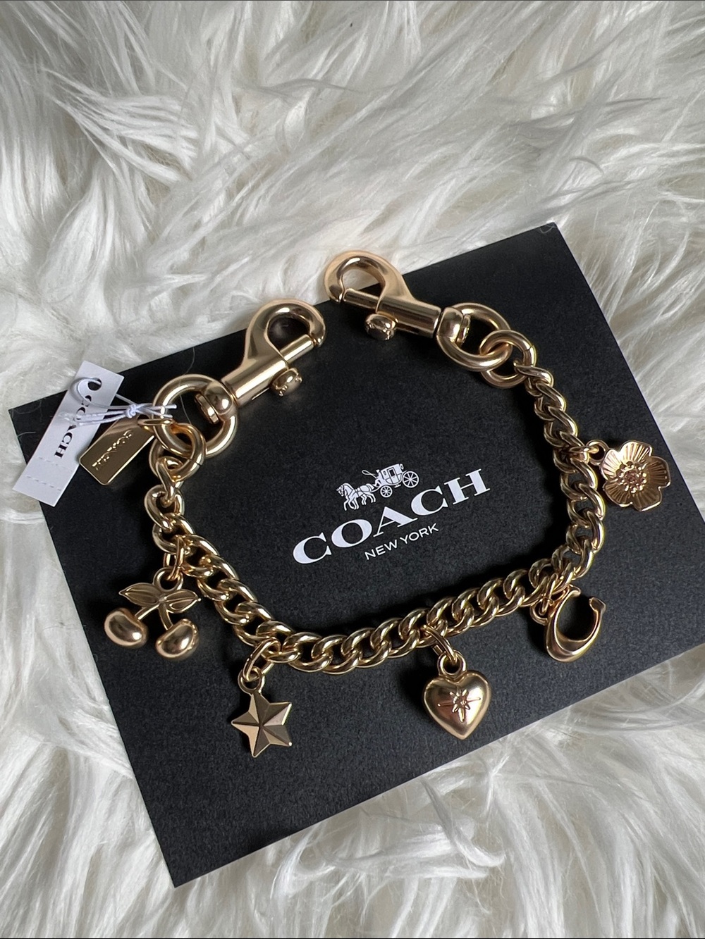*NWT* Coach Gold Swagger Chain
With Charms